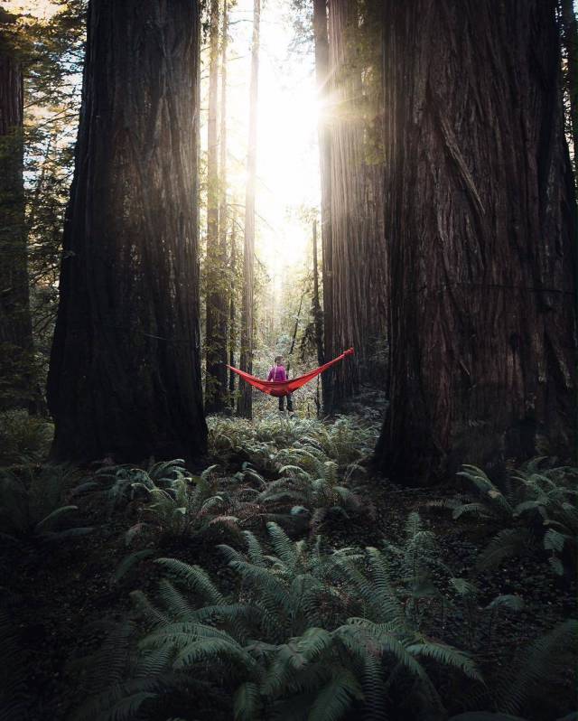 daily picdump weekend edition 60 pics 7.html - 60 HD Photos | Premium Gallery 2017