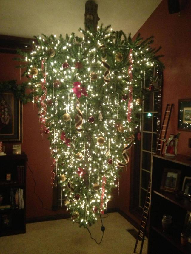 daily picdump weekend edition 60 pics 7.html - 60 HD Photos | Premium Gallery 2017