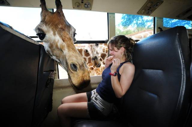 daily picdump 96 pics 38.html - 96 HD Photos | Premium Gallery 2017