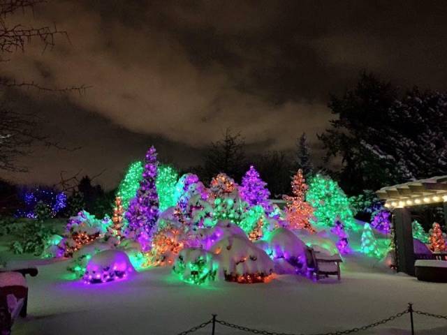 daily picdump 96 pics 38.html - 96 HD Photos | Premium Gallery 2017