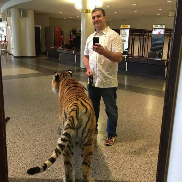 daily picdump 96 pics 38.html - 96 HD Photos | Premium Gallery 2017