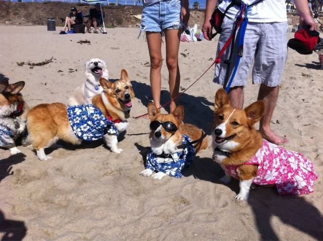 daily picdump 96 pics 38.html - 96 HD Photos | Premium Gallery 2017