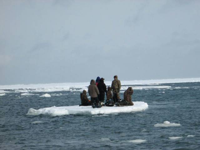 daily picdump 96 pics 38.html - 96 HD Photos | Premium Gallery 2017