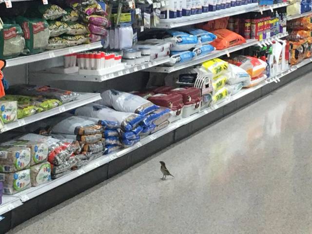 daily picdump 96 pics 38.html - 96 HD Photos | Premium Gallery 2017