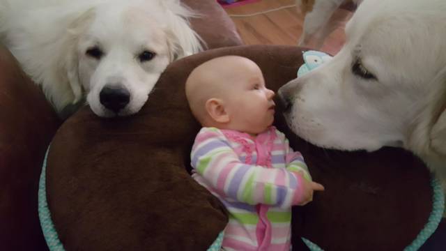 daily picdump 96 pics 38.html - 96 HD Photos | Premium Gallery 2017