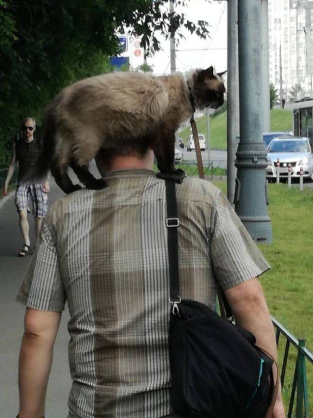 daily picdump 96 pics 38.html - 96 HD Photos | Premium Gallery 2017