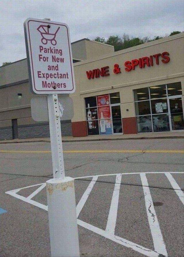 daily picdump 96 pics 38.html - 96 HD Photos | Premium Gallery 2017