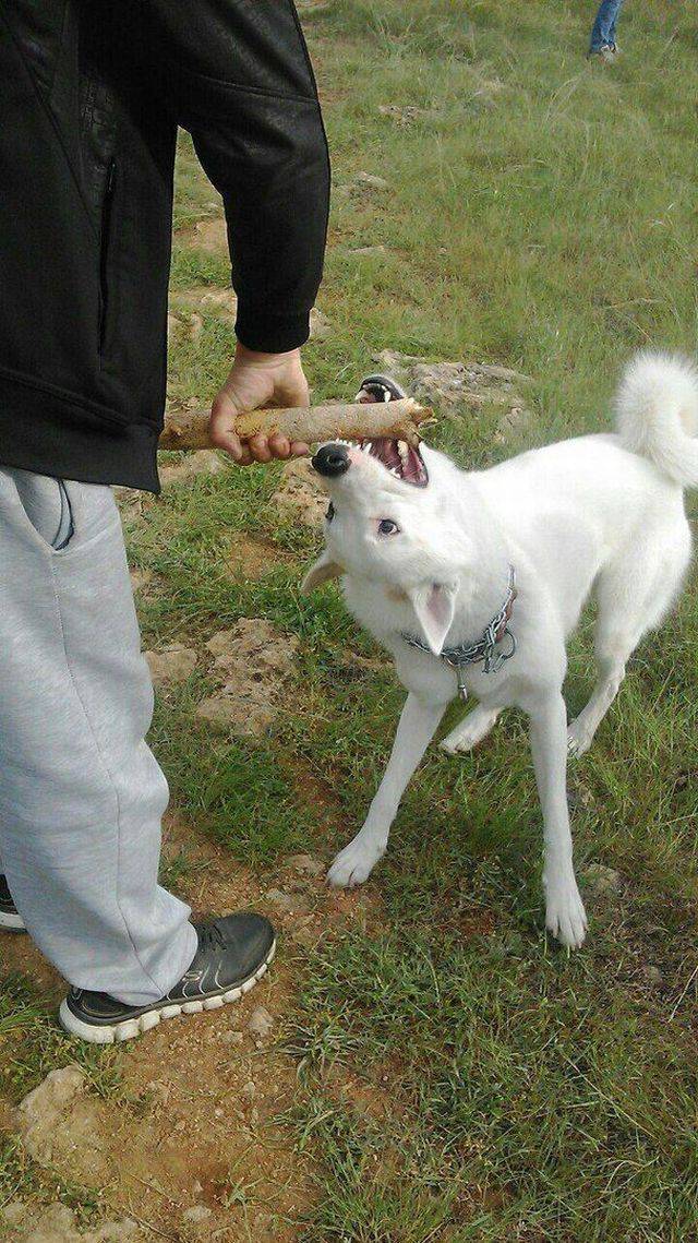 daily picdump 96 pics 38.html - 96 HD Photos | Premium Gallery 2017