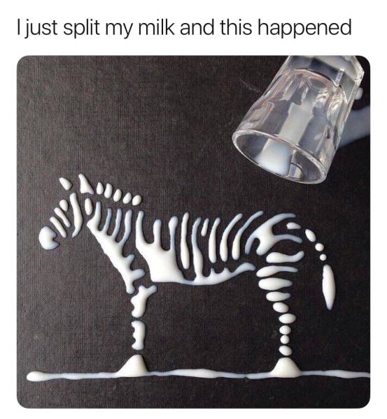 morning picdump 52 pics 15.html - 52 HD Photos | Premium Gallery 2017