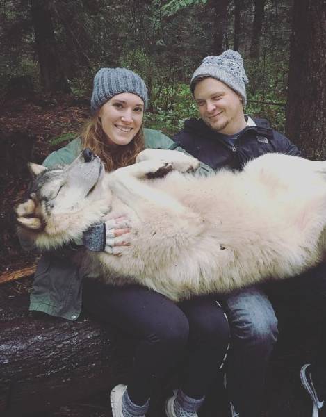 morning picdump 51 pics 19.html - 51 HD Photos | Premium Gallery 2017