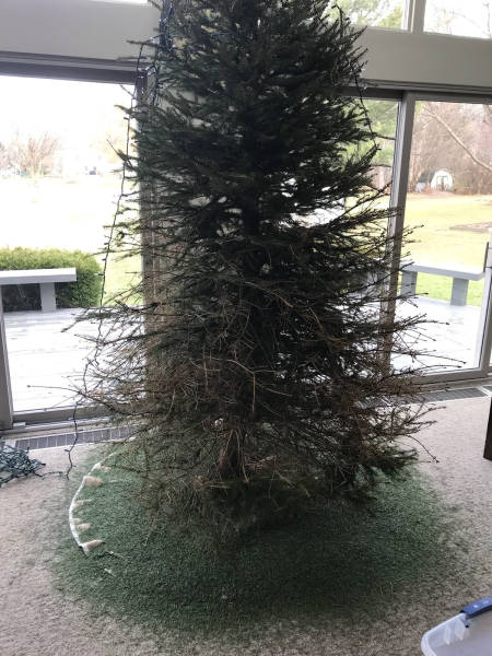 morning picdump 51 pics 19.html - 51 HD Photos | Premium Gallery 2017