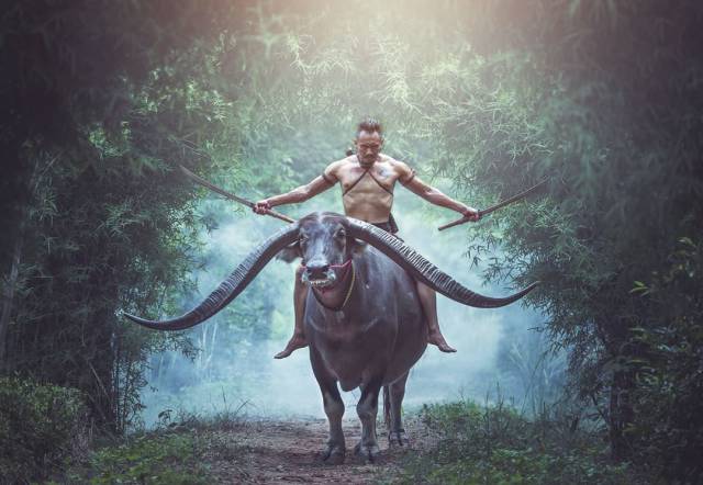 morning picdump 51 pics 19.html - 51 HD Photos | Premium Gallery 2017