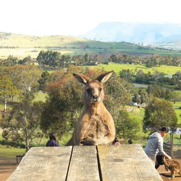 daily picdump 97 pics 44.html - 97 HD Photos | Premium Gallery 2017