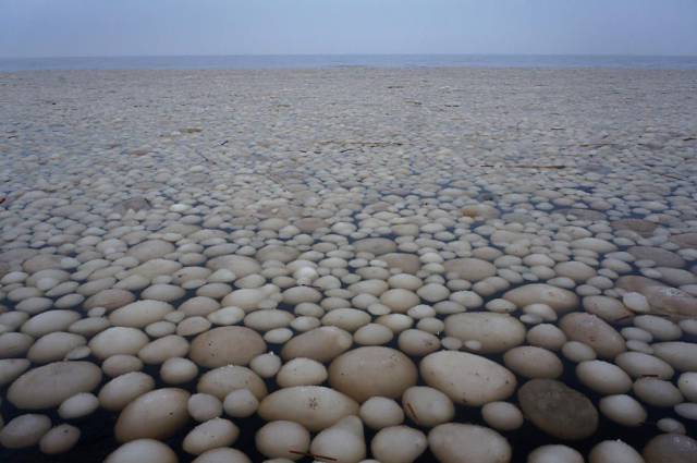 daily picdump 97 pics 44.html - 97 HD Photos | Premium Gallery 2017