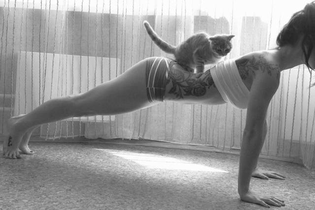 daily picdump 97 pics 44.html - 97 HD Photos | Premium Gallery 2017