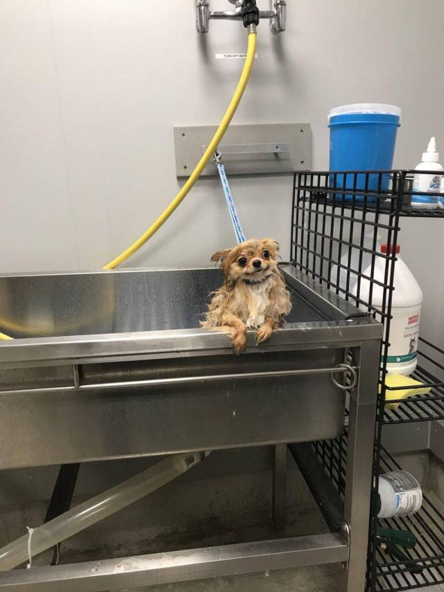 daily picdump 97 pics 44.html - 97 HD Photos | Premium Gallery 2017