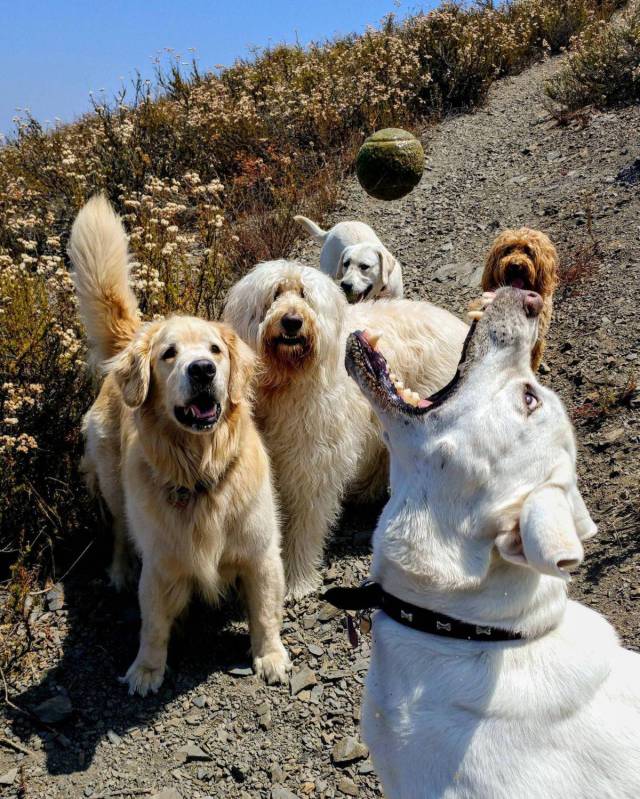 daily picdump 97 pics 44.html - 97 HD Photos | Premium Gallery 2017