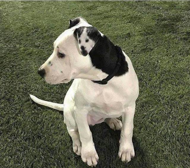 morning picdump 50 pics 15.html - 50 HD Photos | Premium Gallery 2017