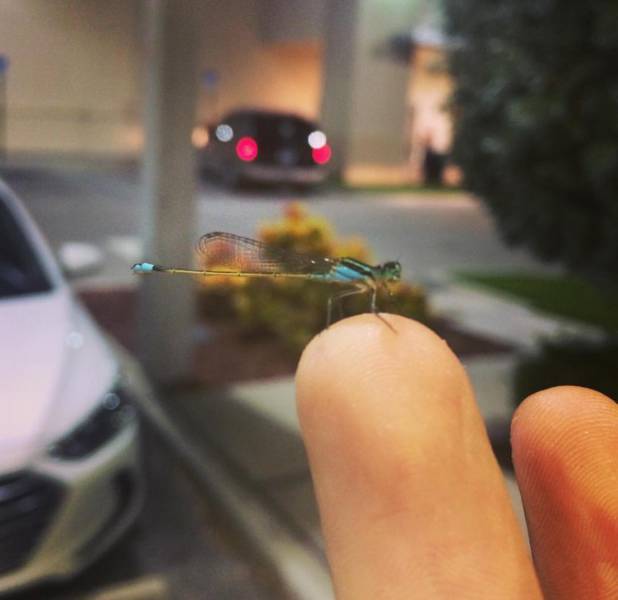 morning picdump 50 pics 15.html - 50 HD Photos | Premium Gallery 2017