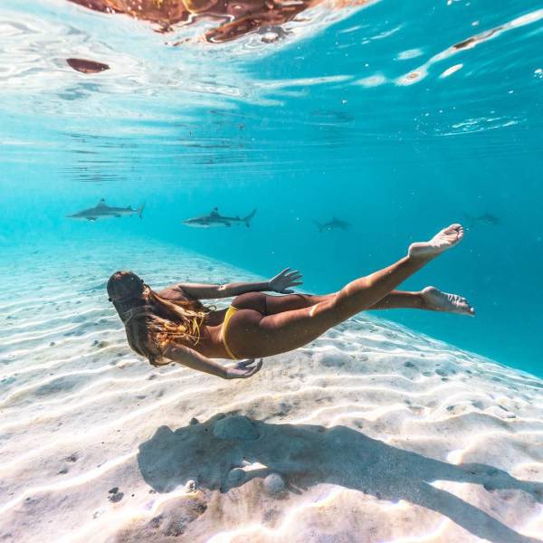 grownup corner 64 pics 2 gifs 28.html - 64 HD GIF | Premium Gallery 2017