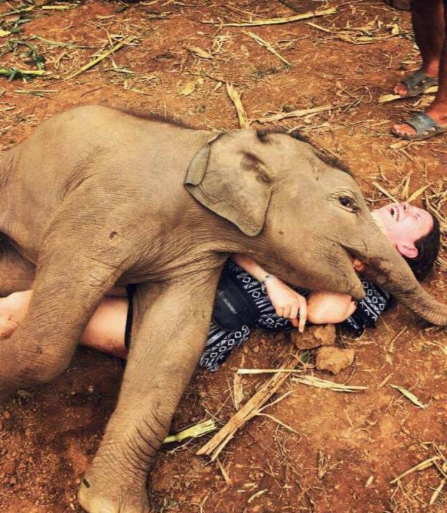 morning picdump 55 pics 15.html - 55 HD Photos | Premium Gallery 2017