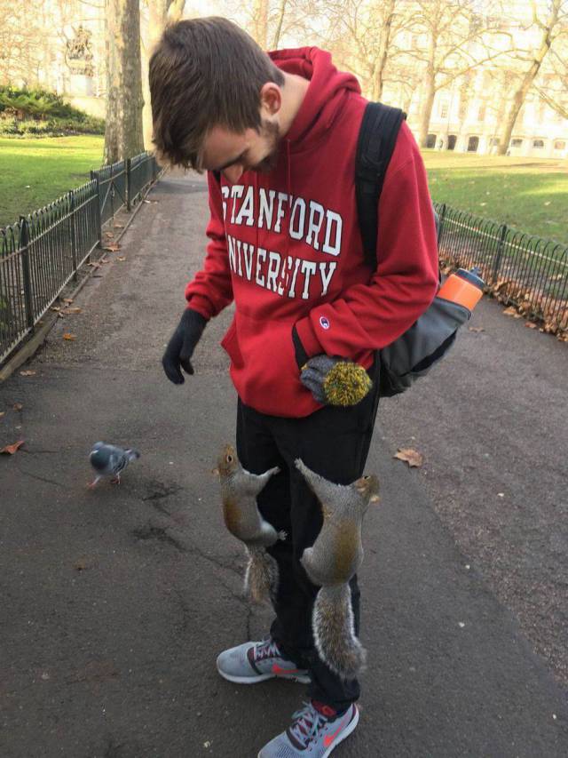 morning picdump 55 pics 15.html - 55 HD Photos | Premium Gallery 2017