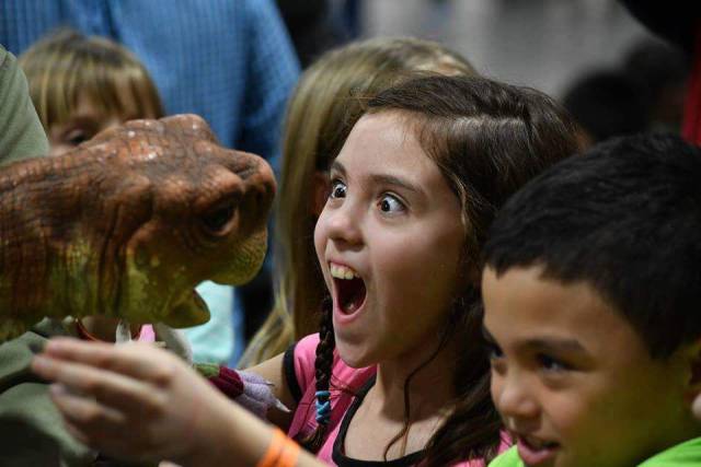 daily picdump 91 pics 16.html - 91 HD Photos | Premium Gallery 2017