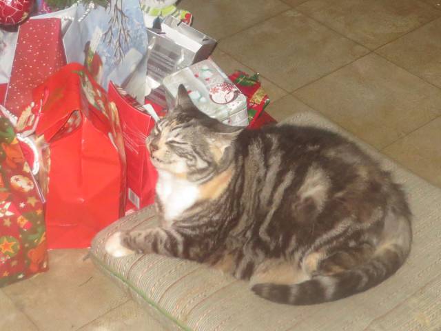 daily picdump 91 pics 16.html - 91 HD Photos | Premium Gallery 2017