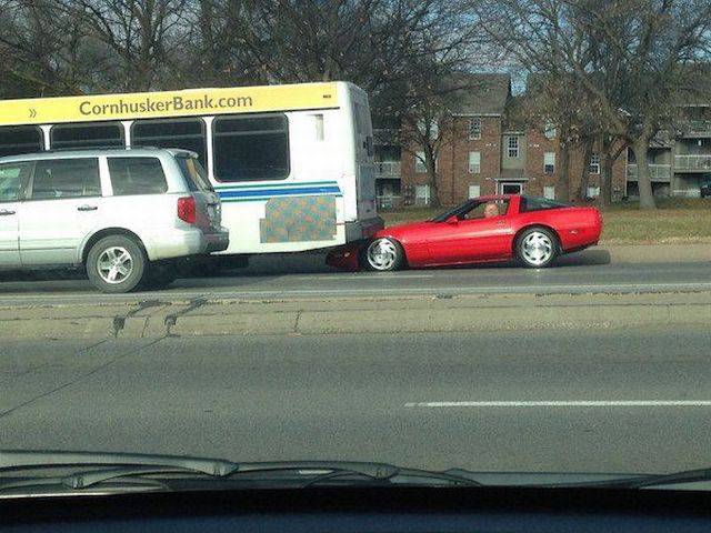 daily picdump 91 pics 16.html - 91 HD Photos | Premium Gallery 2017