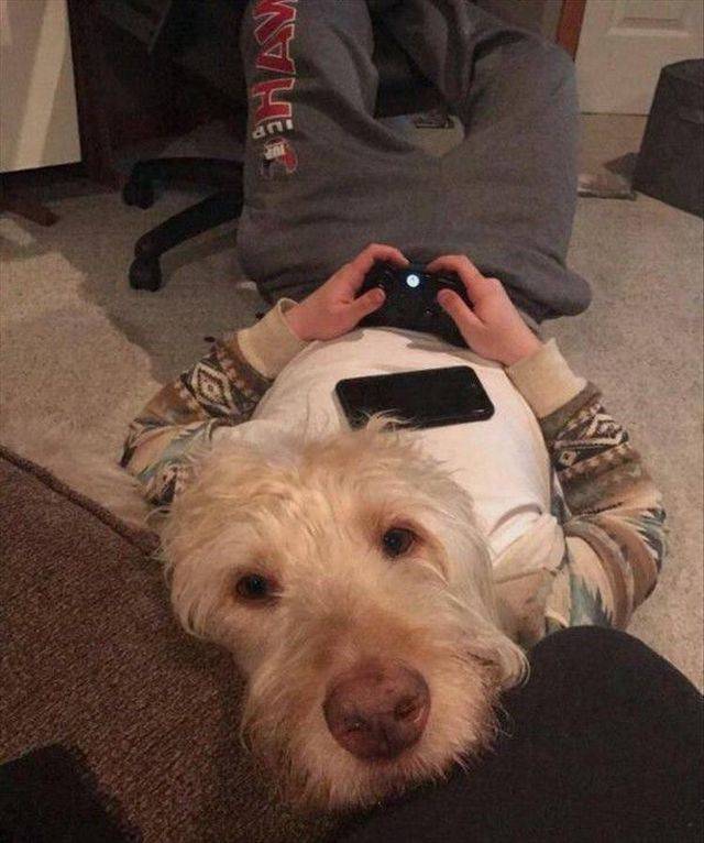 daily picdump 91 pics 16.html - 91 HD Photos | Premium Gallery 2017