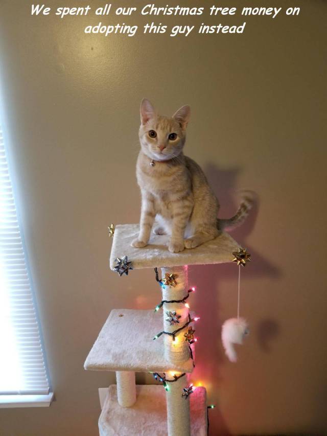 daily picdump 91 pics 16.html - 91 HD Photos | Premium Gallery 2017