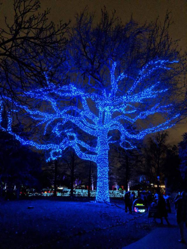 daily picdump 91 pics 16.html - 91 HD Photos | Premium Gallery 2017