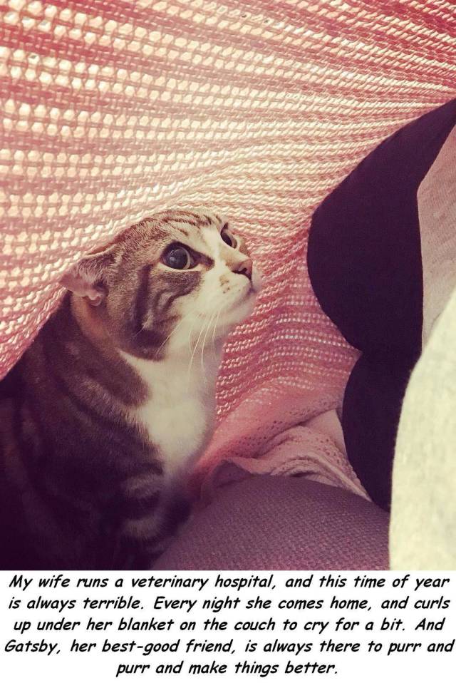 daily picdump 91 pics 16.html - 91 HD Photos | Premium Gallery 2017