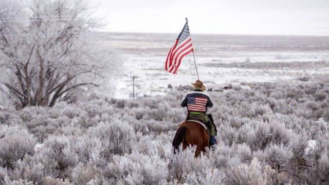 daily picdump weekend edition 60 pics 17.html - 60 HD Photos | Premium Gallery 2017