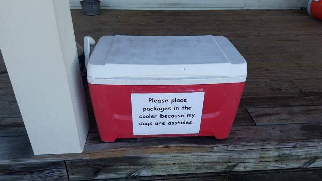 daily picdump weekend edition 60 pics 17.html - 60 HD Photos | Premium Gallery 2017