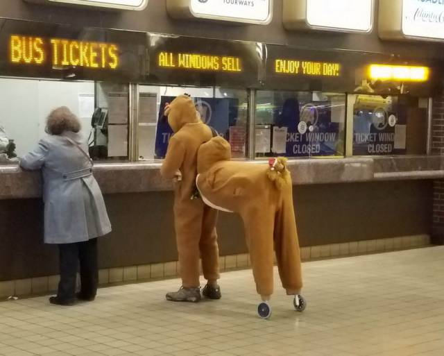 daily picdump weekend edition 60 pics 17.html - 60 HD Photos | Premium Gallery 2017