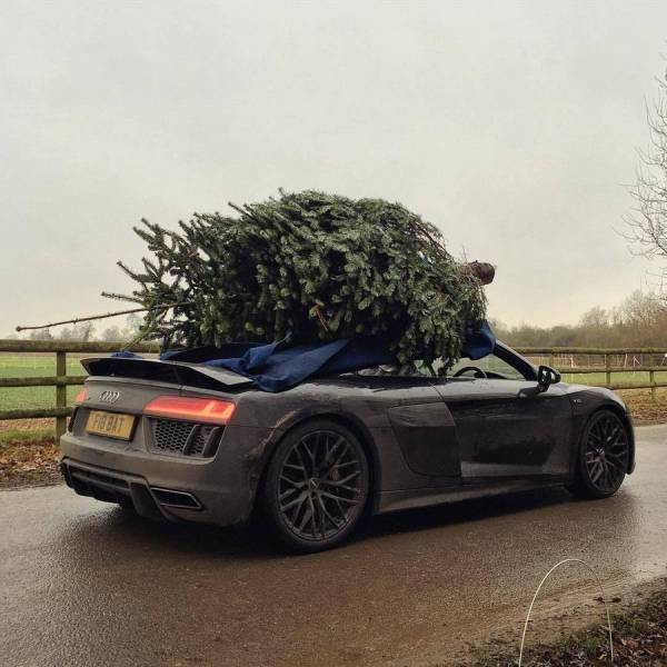 daily picdump weekend edition 60 pics 17.html - 60 HD Photos | Premium Gallery 2017