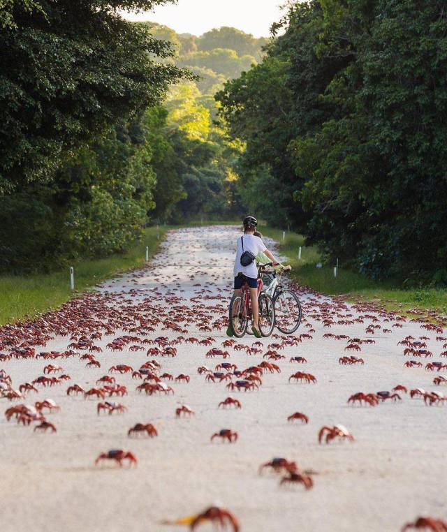 Daily Picdump [WEEKEND EDITION]