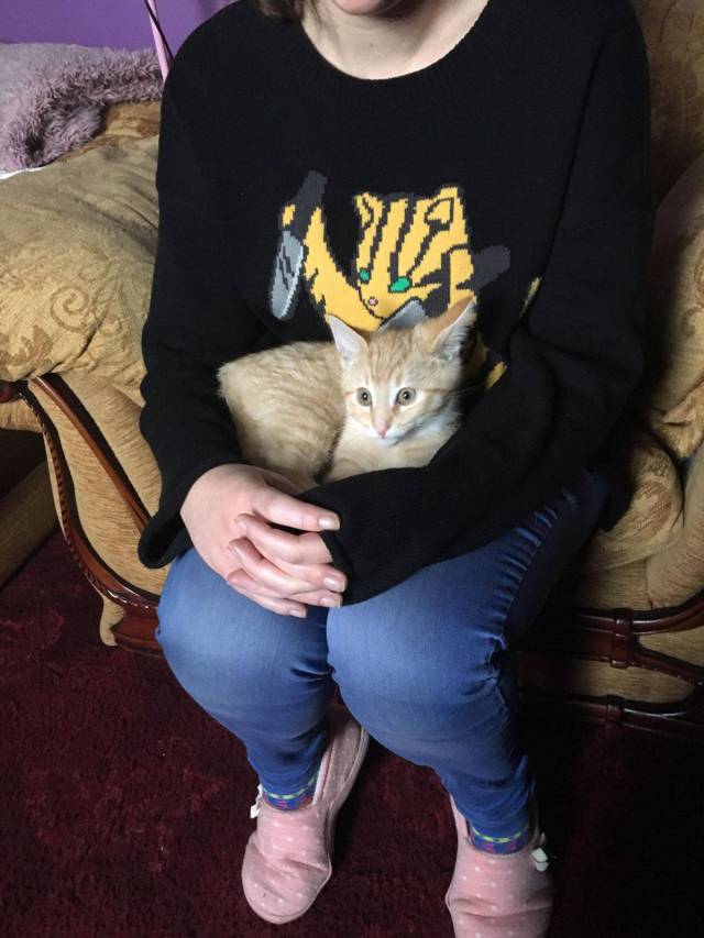 daily picdump weekend edition 60 pics 17.html - 60 HD Photos | Premium Gallery 2017