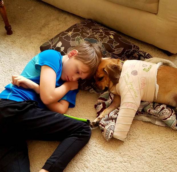 daily picdump 90 pics 35.html - 90 HD Photos | Premium Gallery 2017