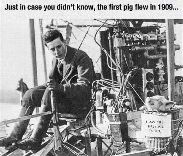 daily picdump 90 pics 35.html - 90 HD Photos | Premium Gallery 2017