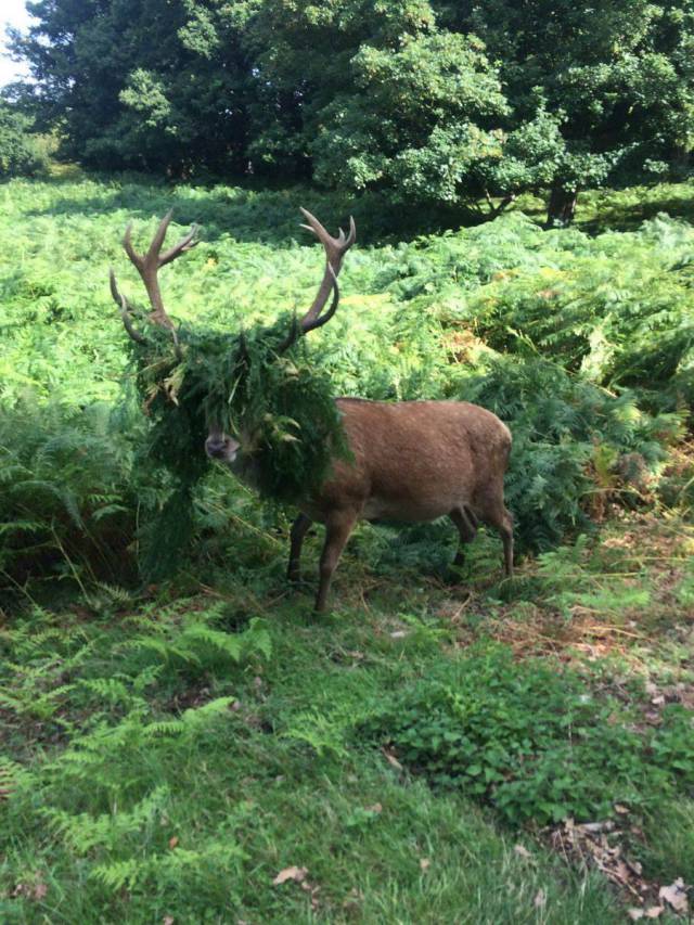 daily picdump 90 pics 35.html - 90 HD Photos | Premium Gallery 2017