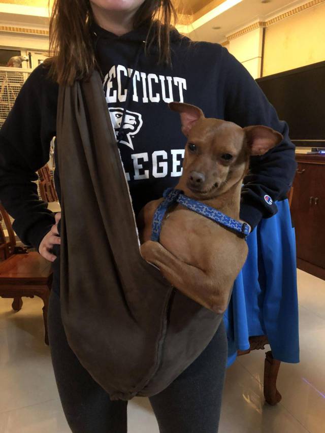 daily picdump 90 pics 35.html - 90 HD Photos | Premium Gallery 2017