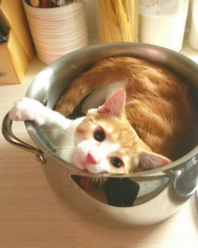 daily picdump 90 pics 35.html - 90 HD Photos | Premium Gallery 2017