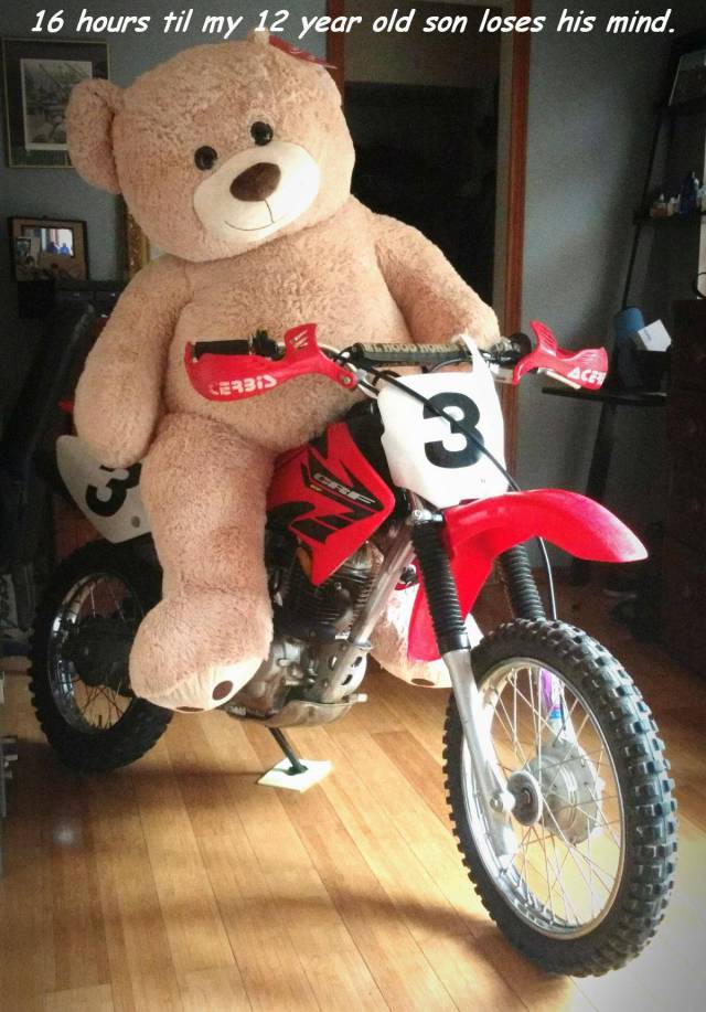 daily picdump 90 pics 35.html - 90 HD Photos | Premium Gallery 2017