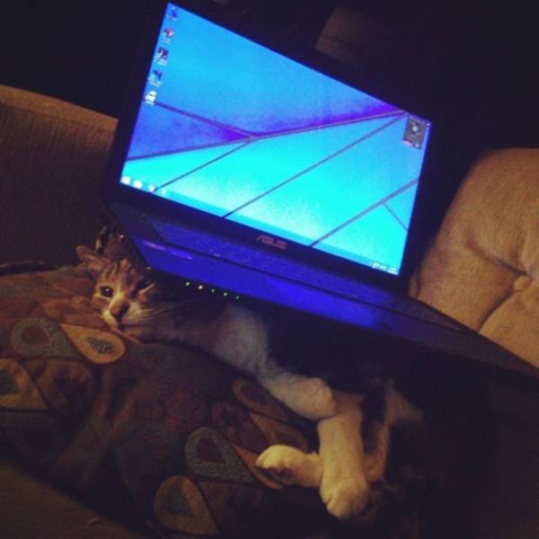 Revenge Is The Sweetest When Served Cold