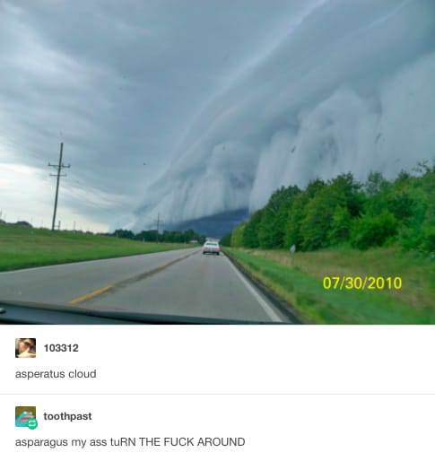 You Wouldn’t Want To See This Post