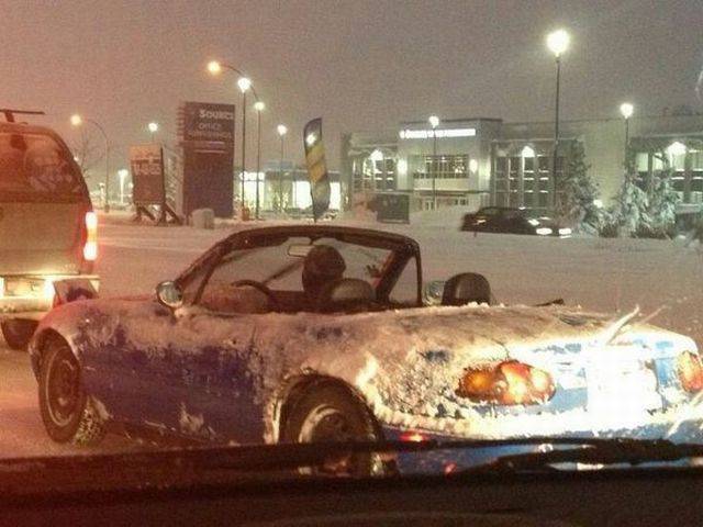 daily picdump 93 pics 15.html - 93 HD Photos | Premium Gallery 2017