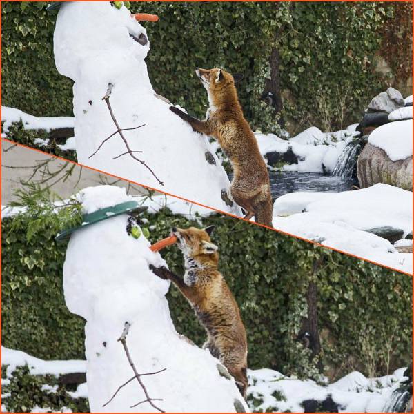 daily picdump 93 pics 15.html - 93 HD Photos | Premium Gallery 2017