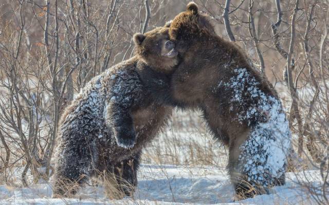 daily picdump 93 pics 15.html - 93 HD Photos | Premium Gallery 2017